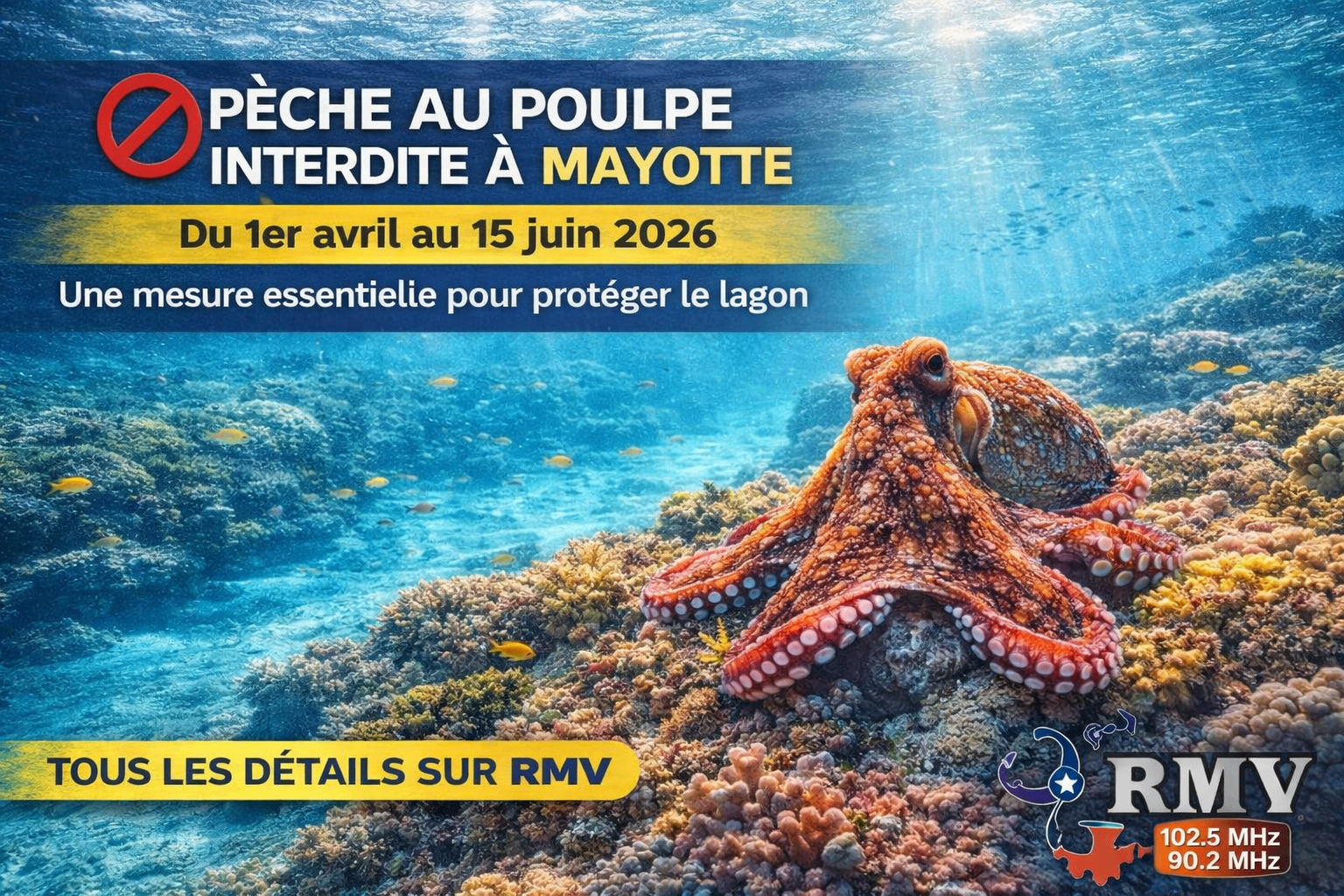 Pêche au poulpe interdite à Mayotte : une mesure essentielle jusqu'au 15 juin 2026